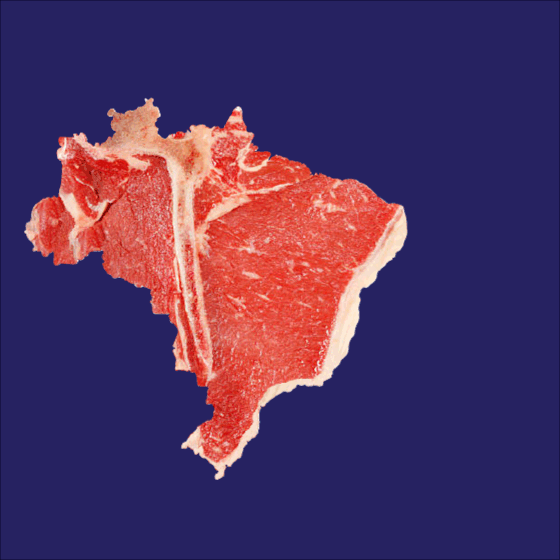 Jucá diz que o governo vai dar o exemplo e cortar na carne